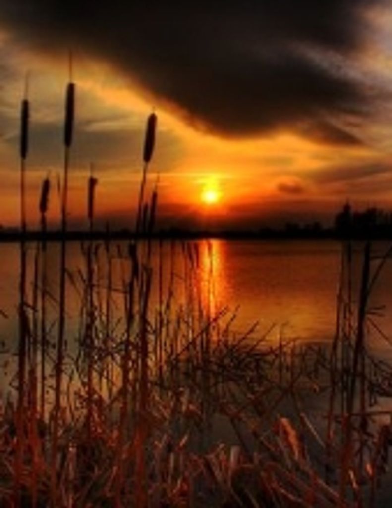 John Clifford Oakes Carter