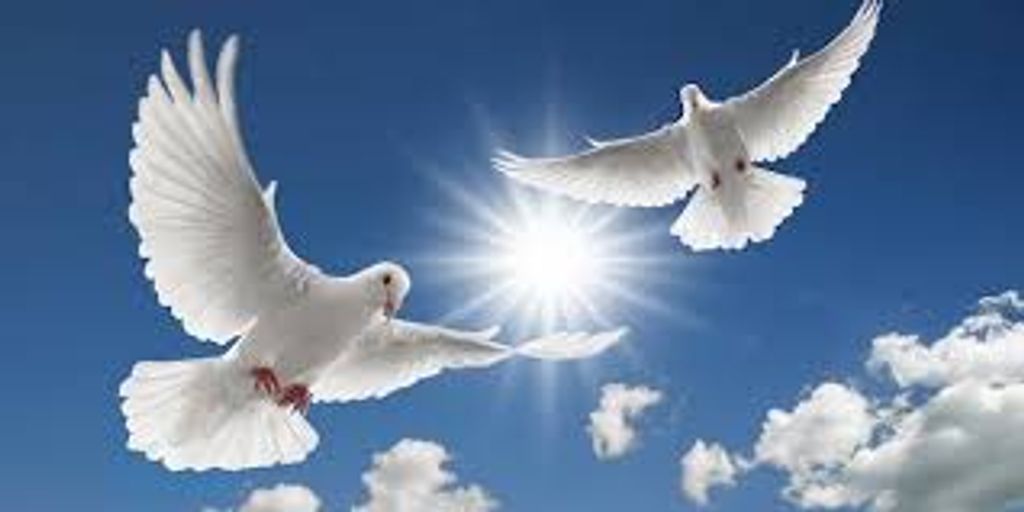 Jennie Godwin Sessoms