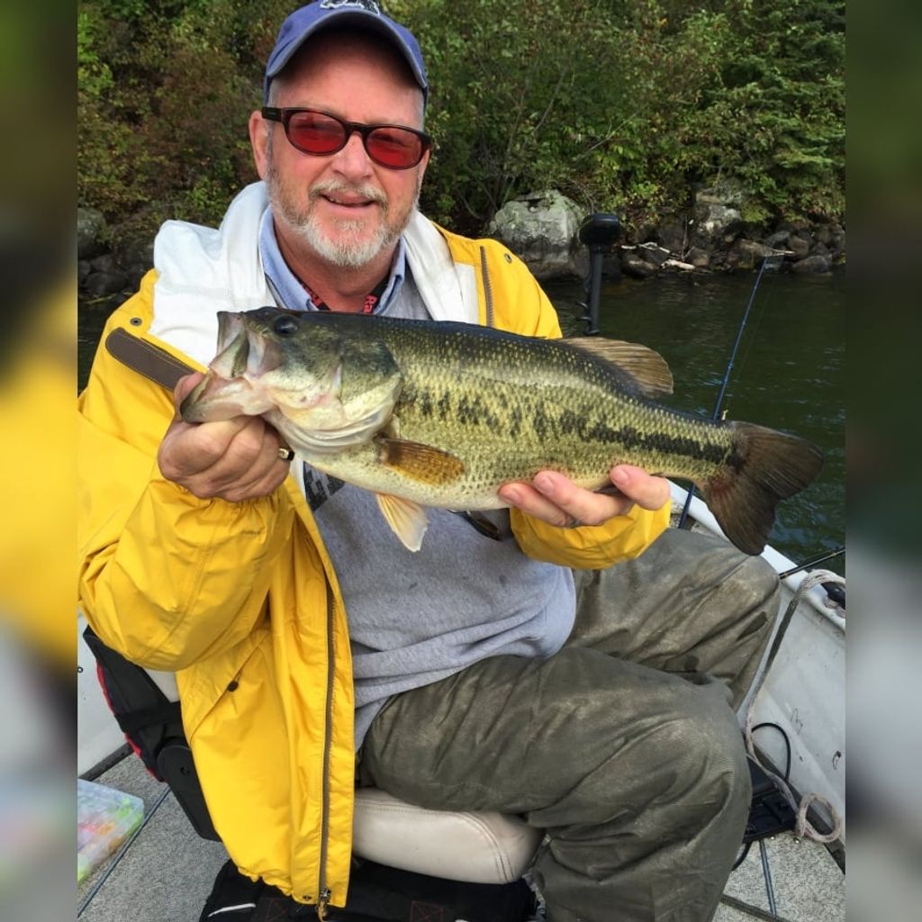 Mark Lester Lewis Profile Photo