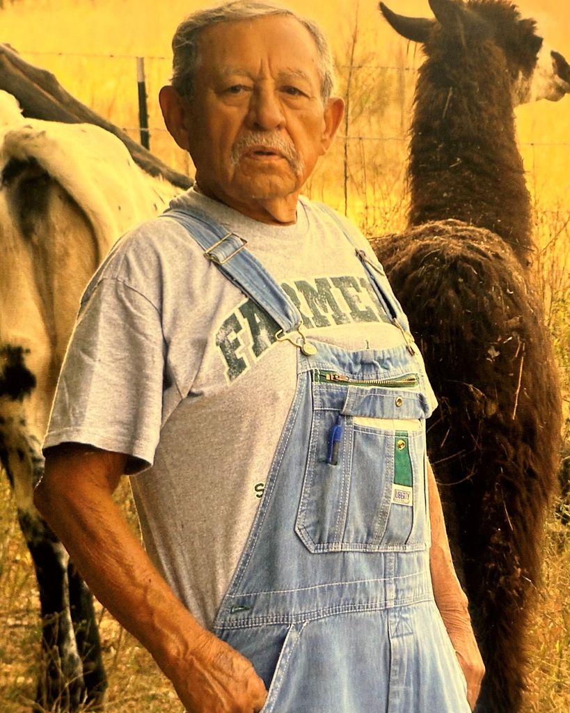 Jose "Joe" Ismael Alfaro Profile Photo