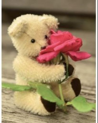Baby Yelena Tovar's obituary image