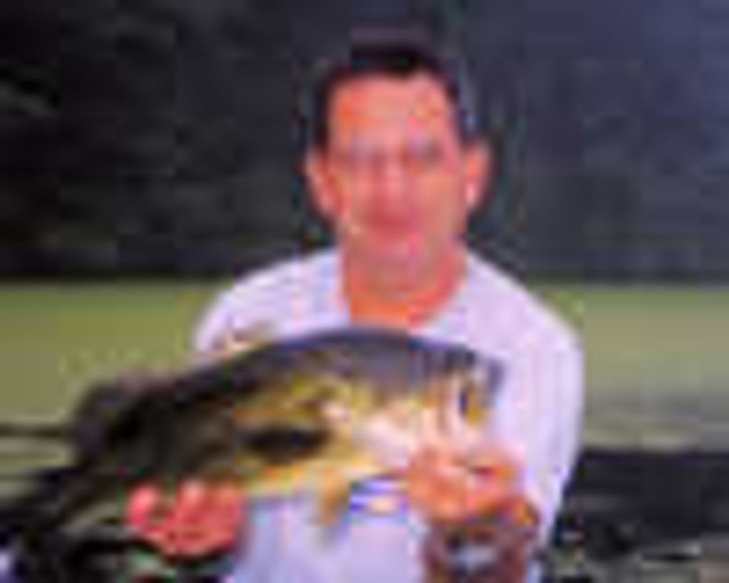 Frank Milicia Profile Photo