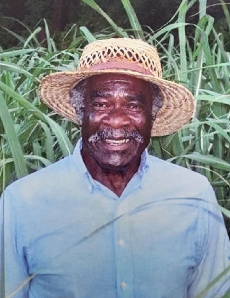 Mr. Lee Arthur Johnson