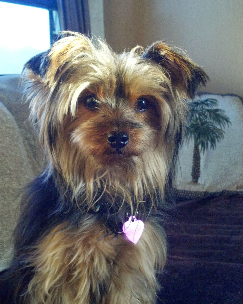 Joey Cooper Profile Photo