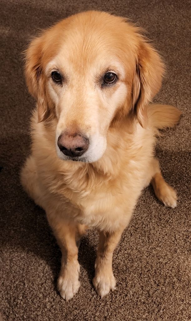 Stella Profile Photo