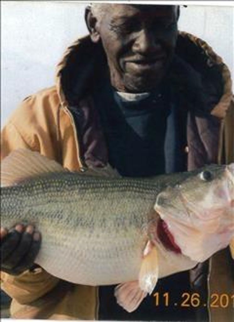 John D. Yokley Profile Photo