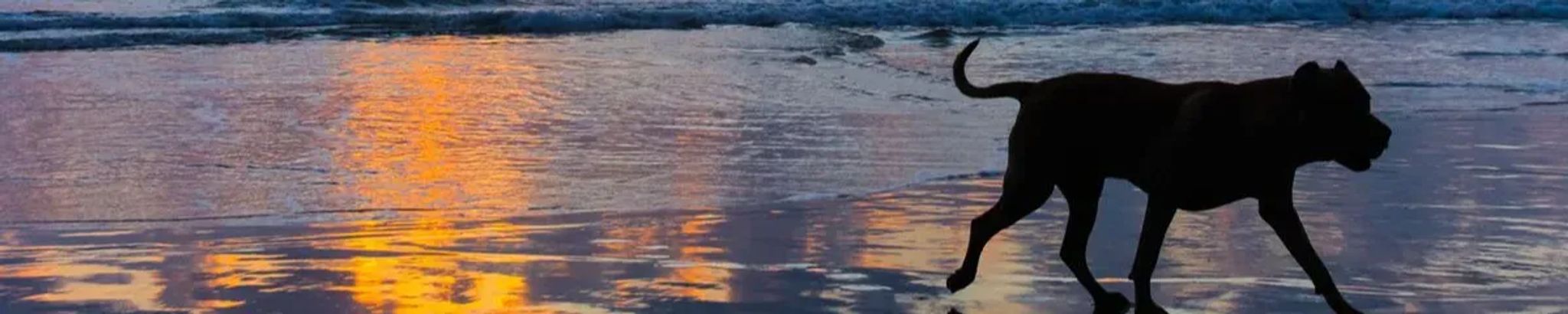 Cover for Cece Gallardo's Obituary