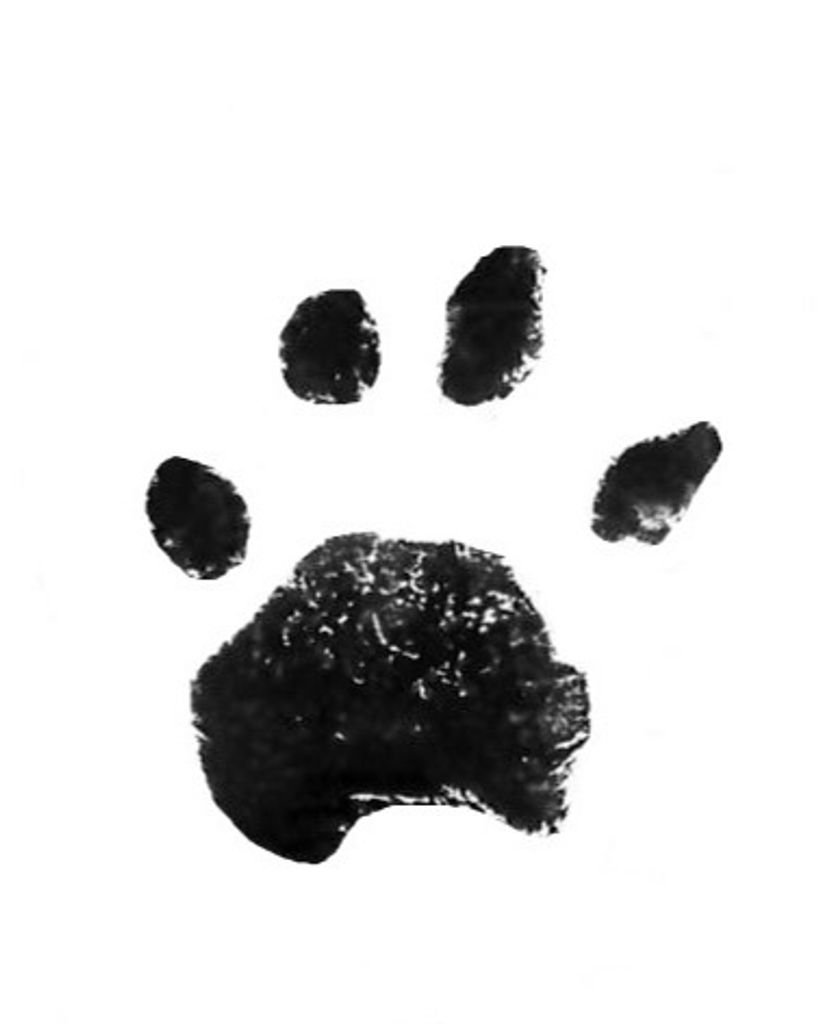 Sebastian Weatherman