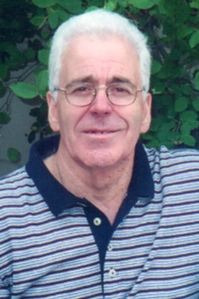 Joao R. Vertentes