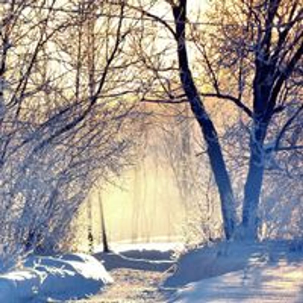 Corey Todd Beaugrand