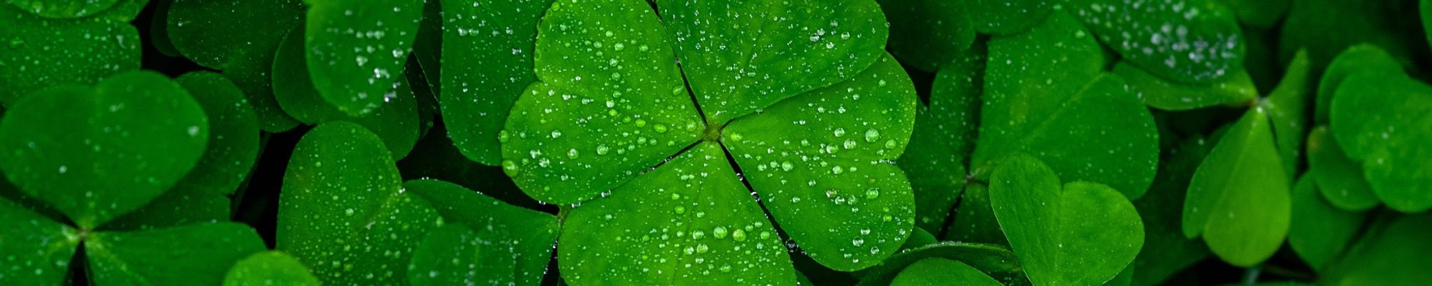 Cover for Michael Joseph Hughes's Obituary