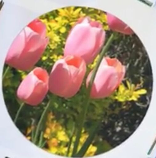 Sharon L. Bruck photo gallery thumbnail 128 of 170