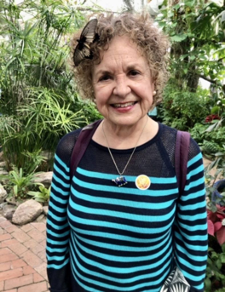 Susan A. Ruedisili