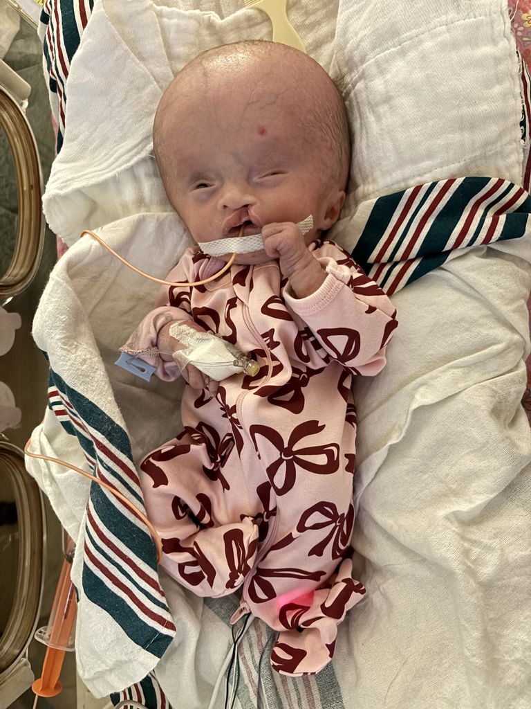 Emery Grace Drust