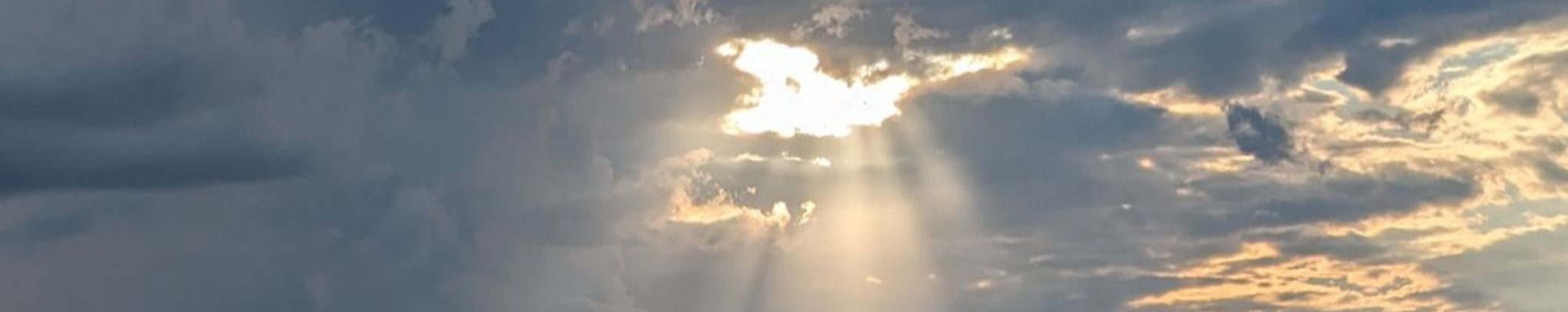 Cover for Marilyn Pethick's Obituary