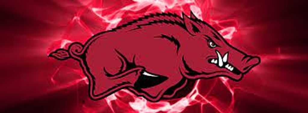 Andrew St. John Profile Photo