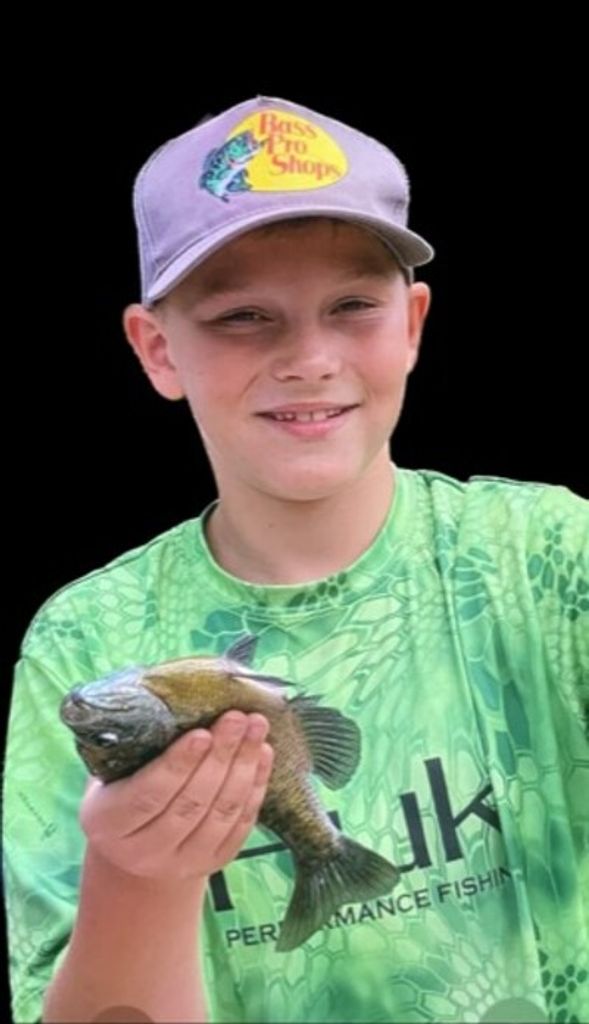 David Michael Wayne Stepp Profile Photo
