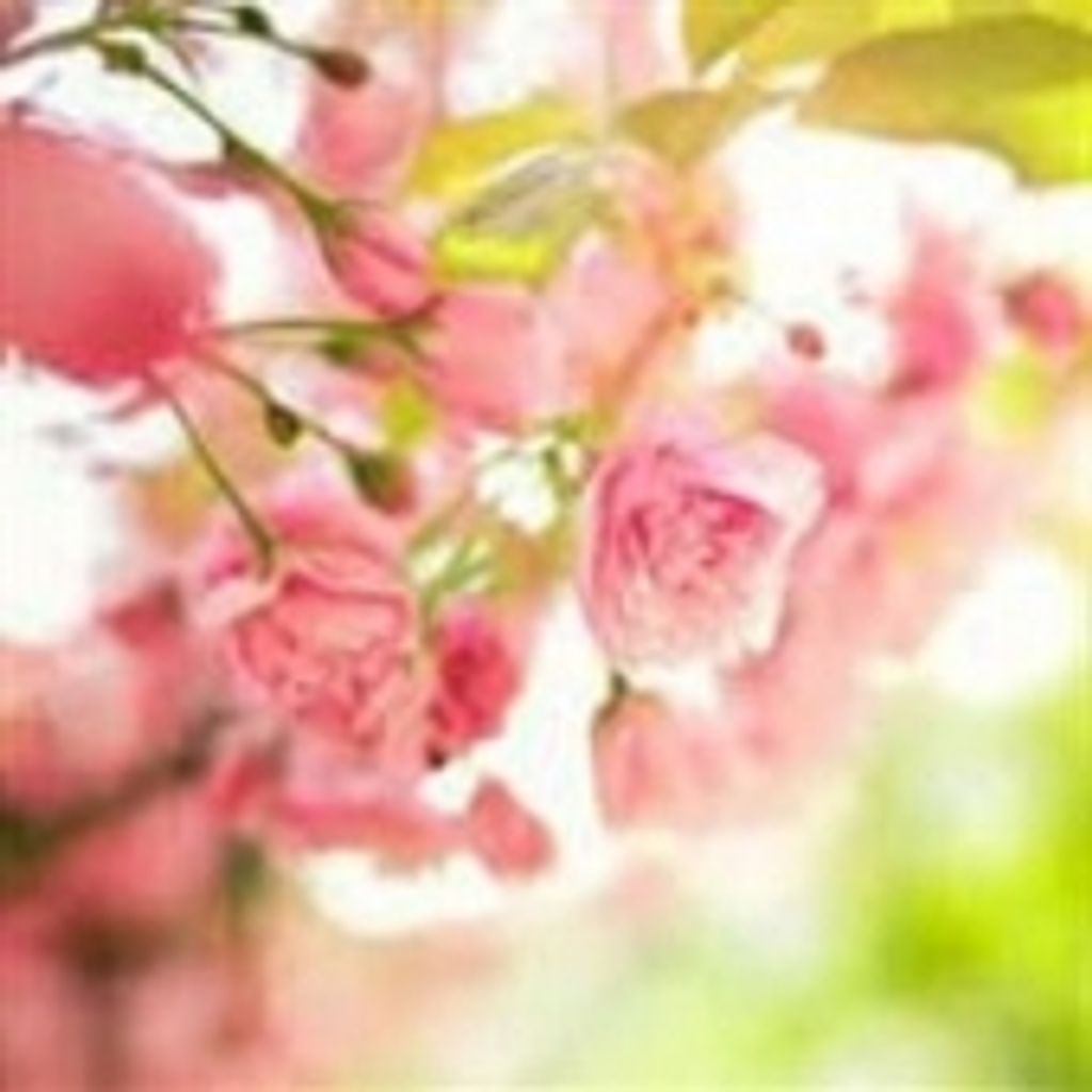 Eleanor Dicke Daniel