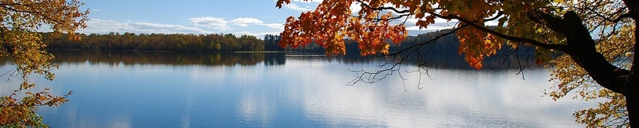 Cover for Ann Hamilton Benattar's Obituary