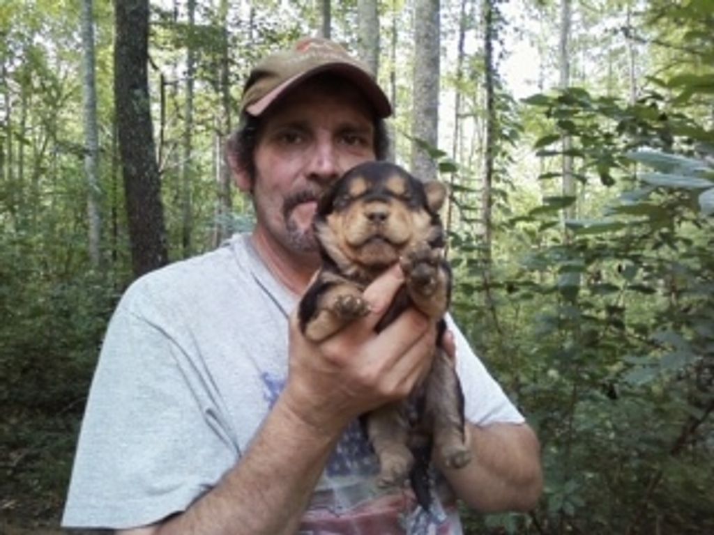Leroy Cornett Livermore, Iii Profile Photo