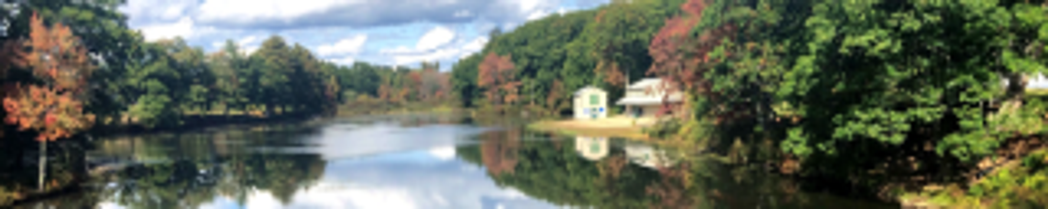 Cover for Whitney Lee Jackson's Obituary