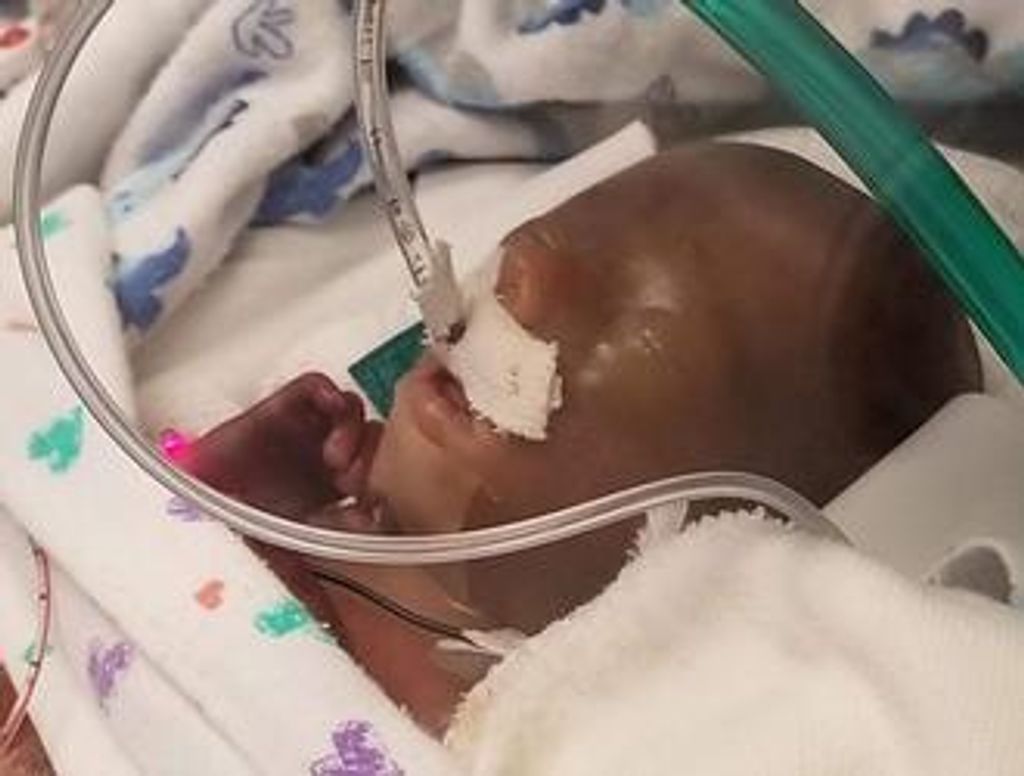 Baby Layden Joe Bittner Profile Photo