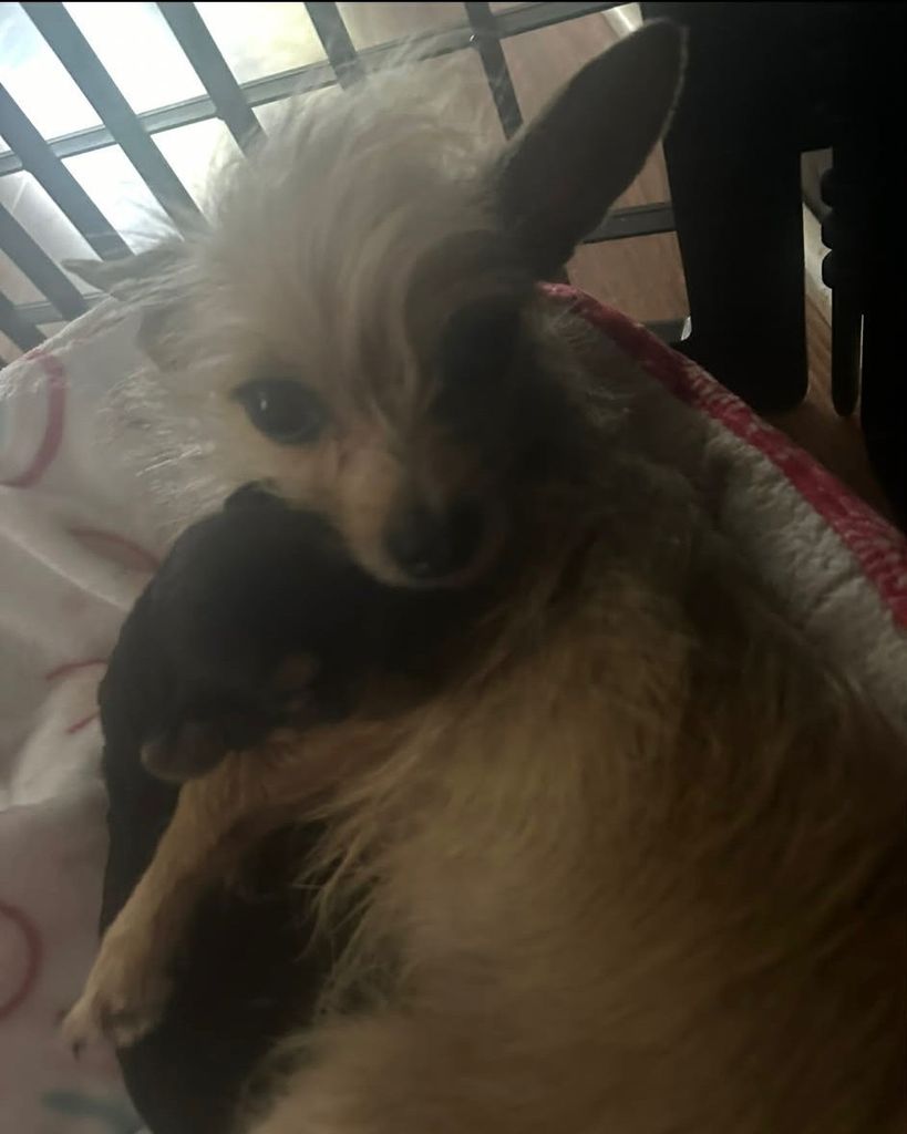 Coco McCary Profile Photo