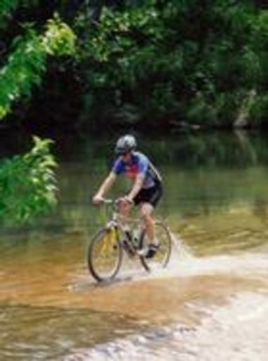 John Gregory Reed Profile Photo