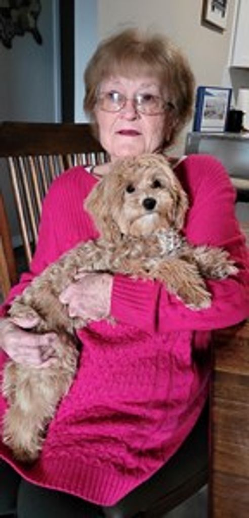Judith "Judy" Stege