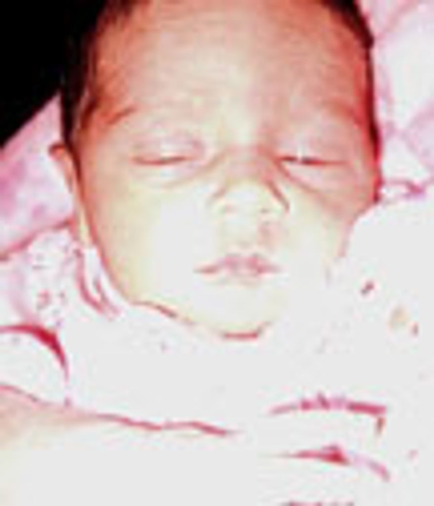 Priscilla Ann Roulston