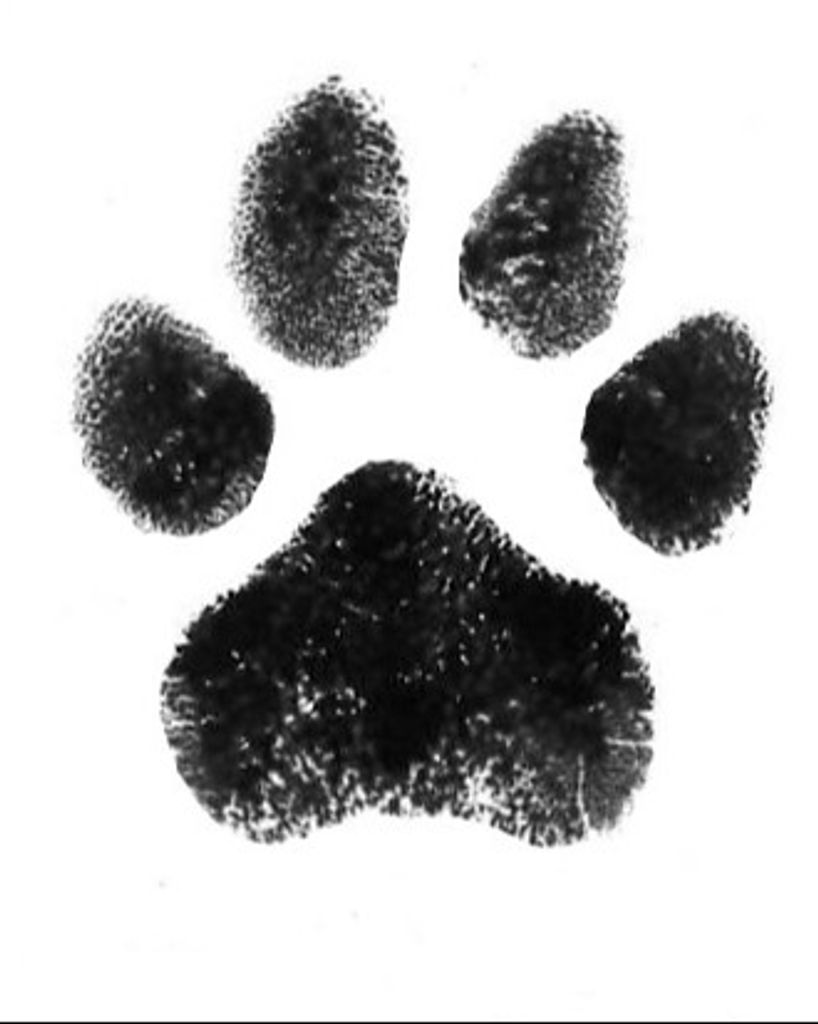 Ranger Gilbert Profile Photo