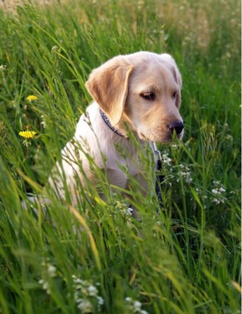Sandy Jean (Alexander) Barkley
