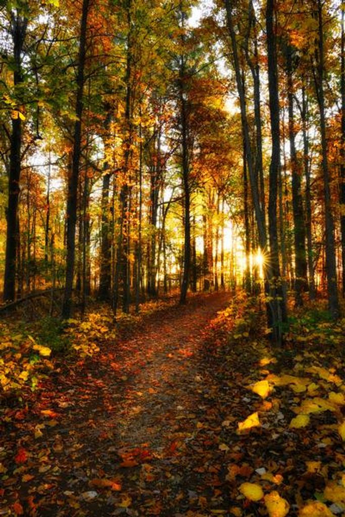 Dennis Gene Clarkson