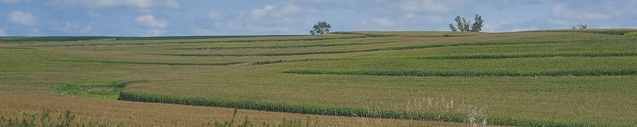 Cover for Charles Namanny's Obituary