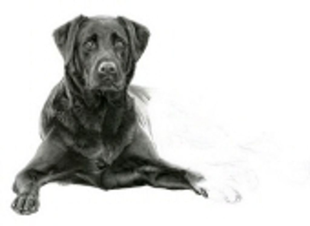 Cooper Evans Profile Photo