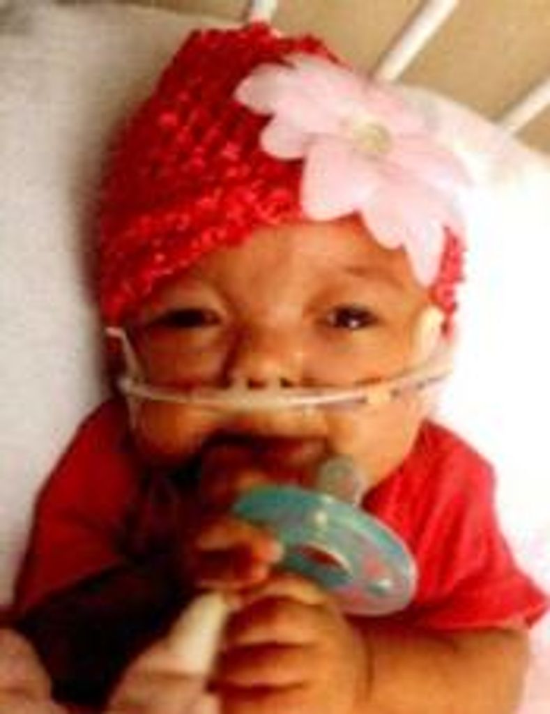 Kennedia Ariella Cypriani