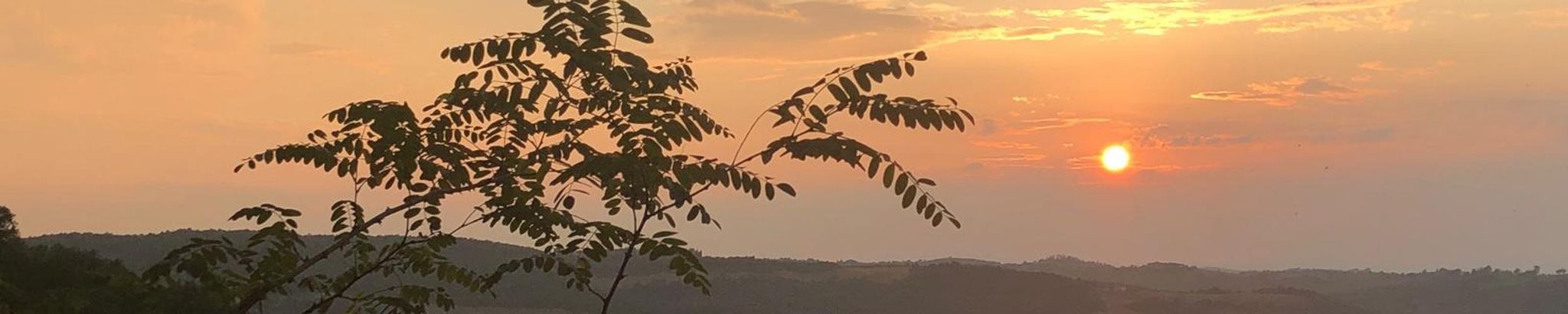 Cover photo for Karen Fleischer's Obituary