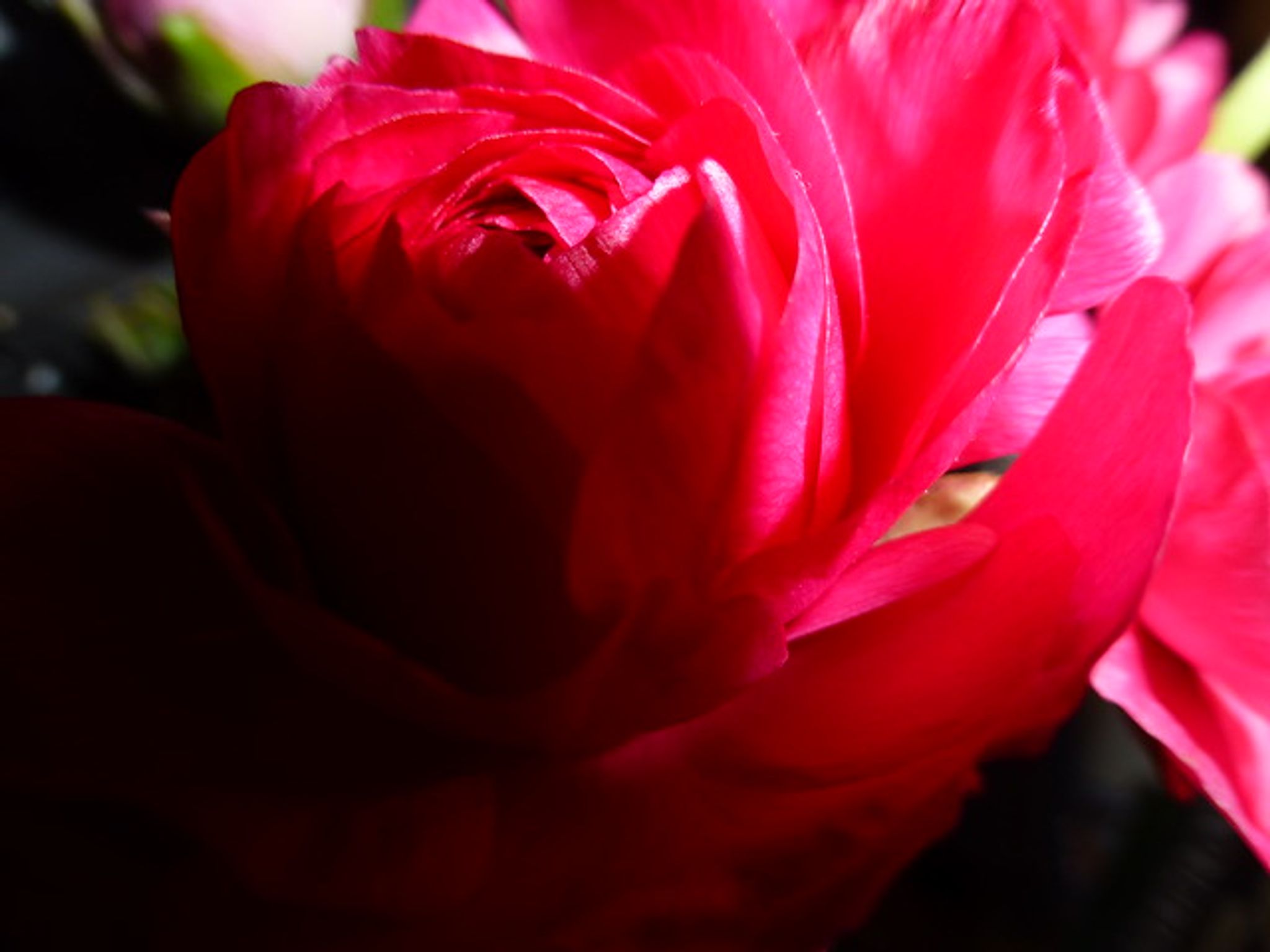 Cover photo for Lucille Jean McCutchen (Kimberling)'s Obituary