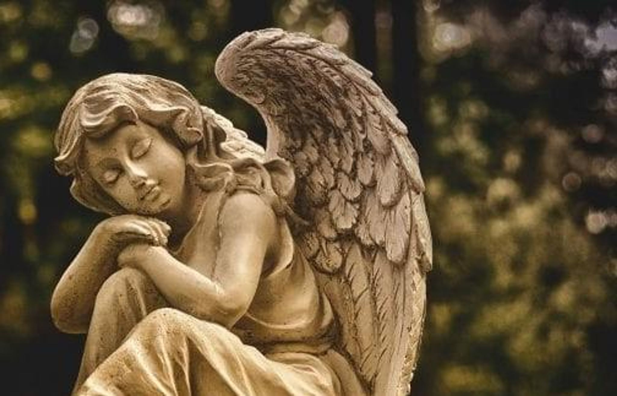 Cover for Betty Ann Goodenough's Obituary