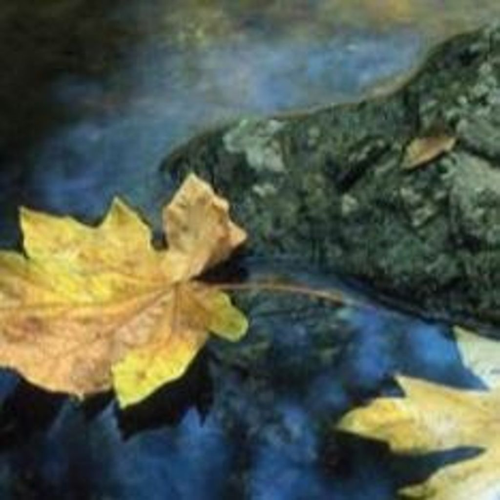 Charles Trumbo Profile Photo