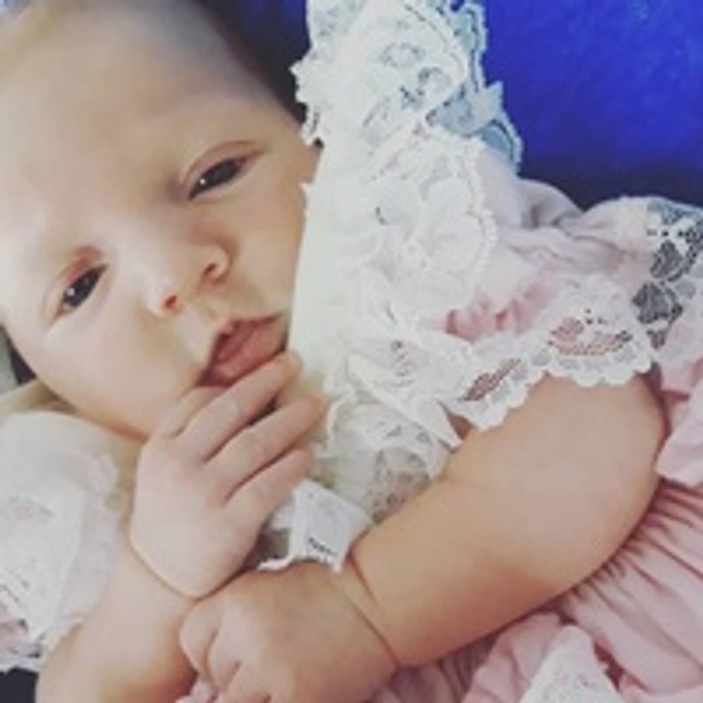 Iris  Evergreen Sheldon