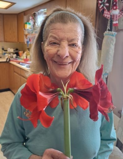 Noeline Carla Miller-Chestnut Profile Photo