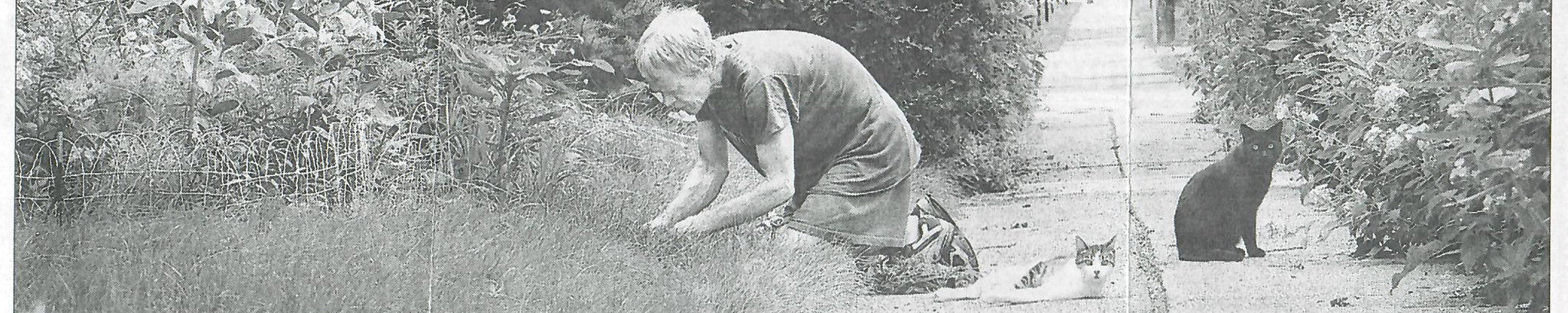 Cover for Michael Therriault's Obituary