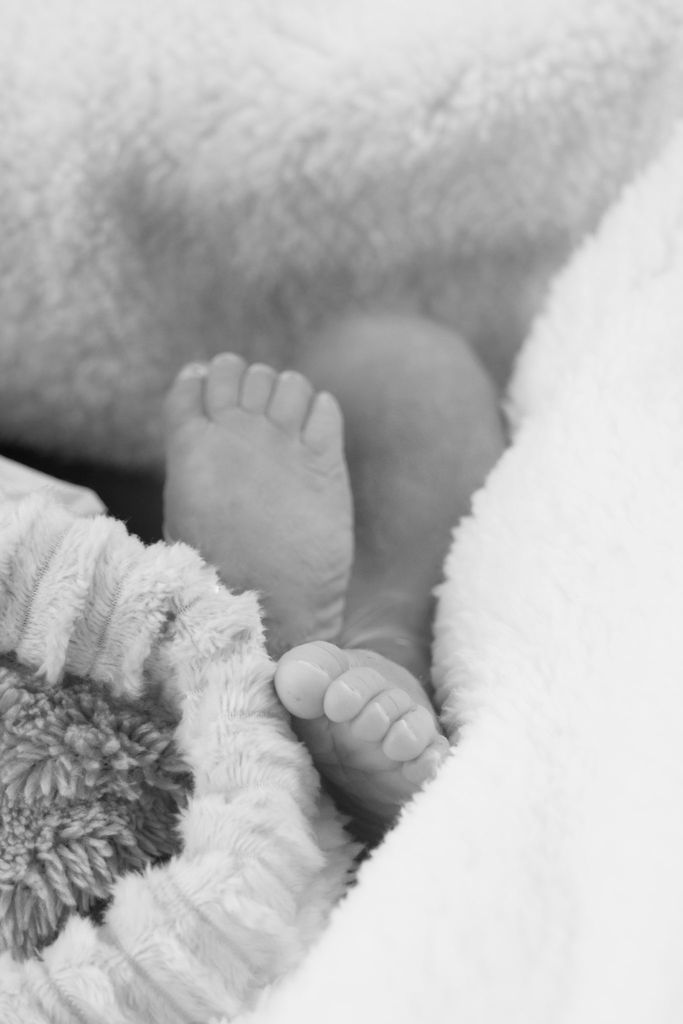 Baby Mckade Uisce Wolfgang Weber Profile Photo