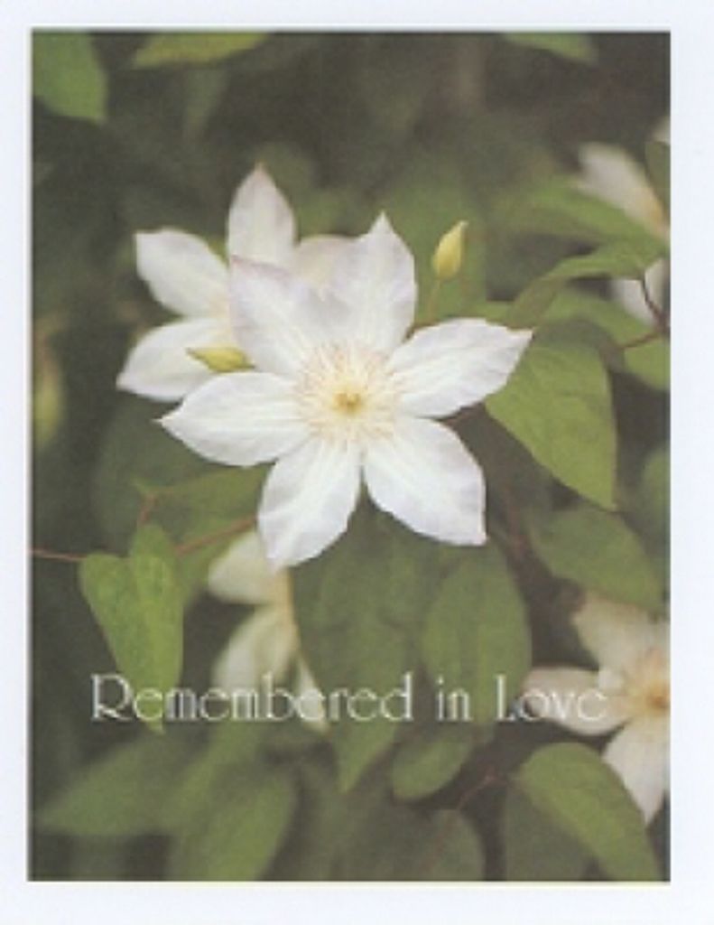 Carol Shafer
