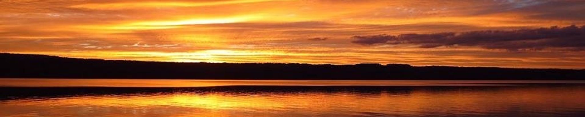 Cover photo for Suzanne Willson's Obituary