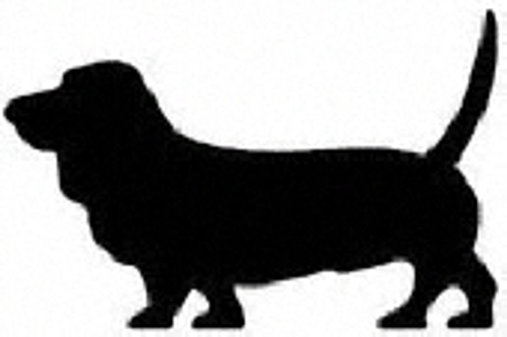 Toby Jo Terveen Profile Photo