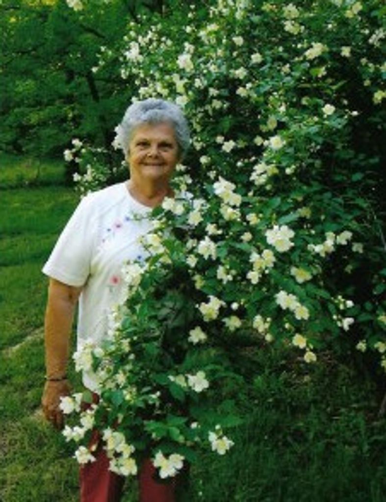 Peggy Miller Schlecht Profile Photo