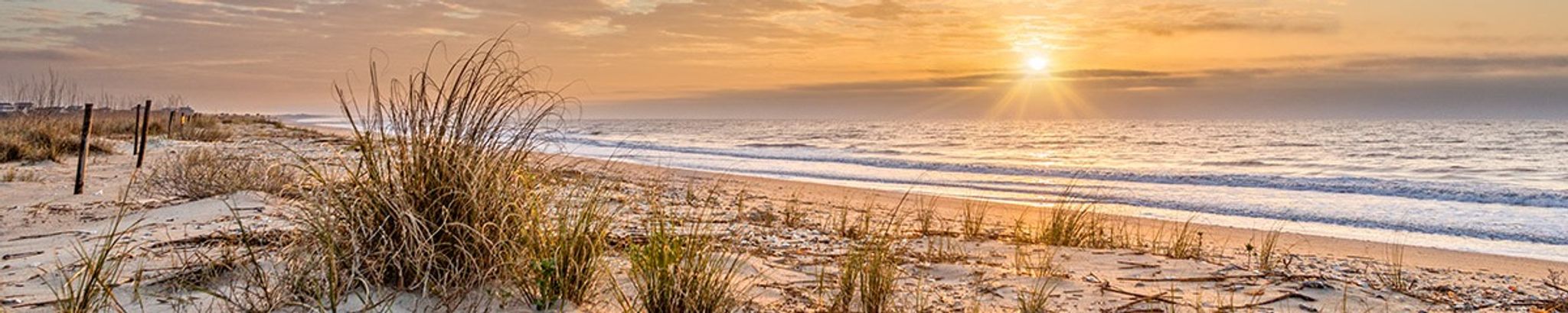 Cover for Nicole "Nikki" Taylor's Obituary