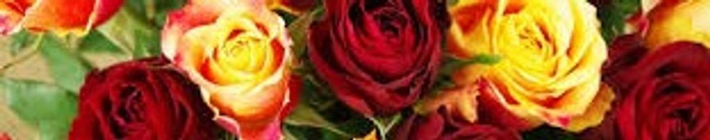Cover photo for Cyrilla M. Wipperfurth's Obituary